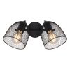 Globo JOSINA Spotlight brown, 2-light sources