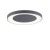 Leuchten Direkt ANIKA Ceiling Light LED anthracite, 1-light source, Remote control