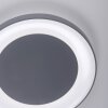 Leuchten Direkt ANIKA Ceiling Light LED anthracite, 1-light source, Remote control