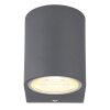 Globo VERONIKA Outdoor Wall Light anthracite, 1-light source
