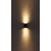 Globo VERONIKA Outdoor Wall Light anthracite, 2-light sources