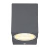Globo VERONIKA Outdoor Wall Light anthracite, 1-light source