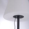 Leuchten Direkt HOLLY Floor Lamp LED black, 1-light source, Colour changer