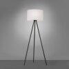 Leuchten Direkt HOLLY Floor Lamp LED black, 1-light source, Colour changer