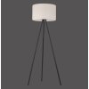 Leuchten Direkt HOLLY Floor Lamp LED black, 1-light source, Colour changer