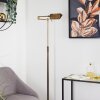 Norrlida Floor Lamp LED brass, 1-light source