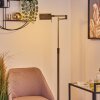 Norrlida Floor Lamp LED brass, 1-light source