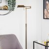 Norrlida Floor Lamp LED brass, 1-light source