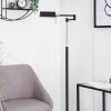 Norrlida Floor Lamp LED chrome, black, 1-light source