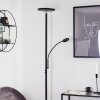 Wonsbek Floor Lamp LED black, 2-light sources