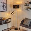 Arnoya Floor Lamp black, 2-light sources