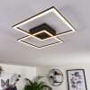Thara Ceiling Light LED black, 1-light source, Remote control