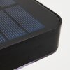 Bondarp Solar lights LED black, 1-light source, Motion sensor