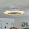 Chaville ceiling fan LED white, 1-light source, Remote control