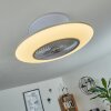 Chaville ceiling fan LED white, 1-light source, Remote control