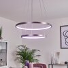 Canisteo Pendant Light LED silver, 2-light sources, Remote control, Colour changer