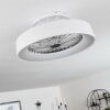 Moli ceiling fan LED white, 1-light source, Remote control