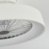 Moli ceiling fan LED white, 1-light source, Remote control