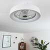 Moli ceiling fan LED white, 1-light source, Remote control