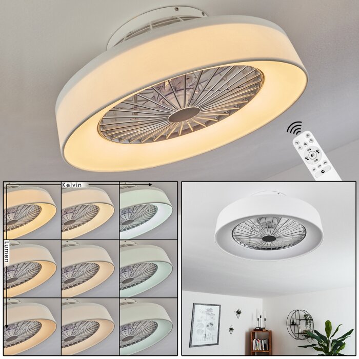 Moli ceiling fan LED white, 1-light source, Remote control