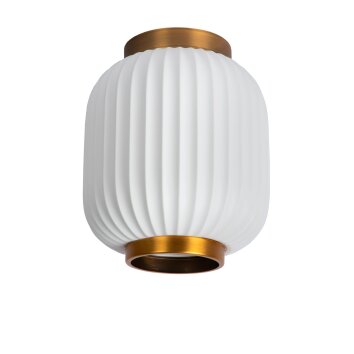 Lucide GOSSE Ceiling Light black, 1-light source