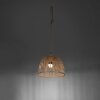 Leuchten Direkt DAVID Pendant Light LED brown, 1-light source, Remote control, Colour changer