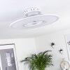 Marmorta ceiling fan LED white, 1-light source, Remote control