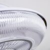 Riccione ceiling fan LED white, 1-light source, Remote control, Colour changer