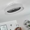 Moli ceiling fan LED grey, white, 1-light source, Remote control