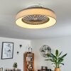 Moli ceiling fan LED grey, white, 1-light source, Remote control