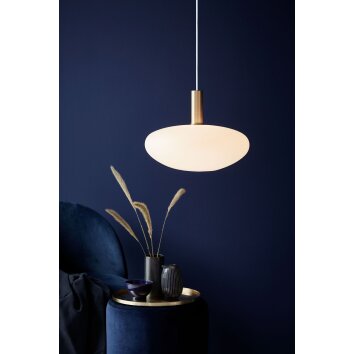 Nordlux ALTON Pendant Light brass, black, 1-light source