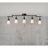 Nordlux COLE Ceiling Light black, 5-light sources