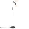 Nordlux MOLLI Floor Lamp black, 2-light sources