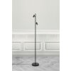 Nordlux OMARI Floor Lamp LED black, 2-light sources