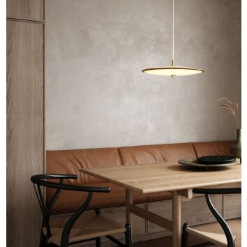 Design For The People by Nordlux BLANCHE Pendant Light LED brass, 1-light source