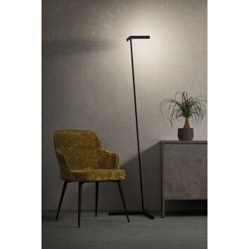 Mantra VECTOR Floor Lamp LED gold, 1-light source