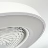Penon ceiling fan LED white, 1-light source, Remote control