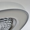 Penon ceiling fan LED silver, 1-light source, Remote control