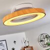 Penon ceiling fan LED white, 1-light source, Remote control