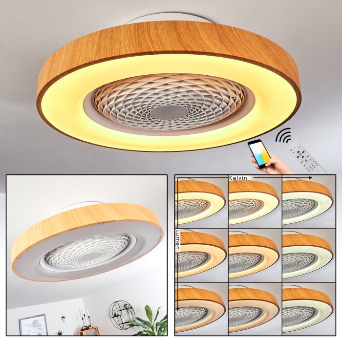 Penon ceiling fan LED white, 1-light source, Remote control