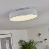 Pine Ceiling Light LED white, 1-light source