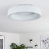 Pine Ceiling Light LED white, 1-light source