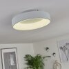Pine Ceiling Light LED white, 1-light source