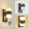 Tiarp Outdoor Wall Light LED black, 2-light sources, Motion sensor
