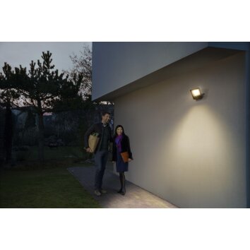 LEDVANCE SMART+ garden spotlight grey, 1-light source, Colour changer