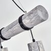 Canedo Pendant Light grey, black, 5-light sources
