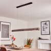 Merlengo Pendant Light LED black, 1-light source