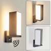 Swanek Outdoor Wall Light LED anthracite, 1-light source, Motion sensor