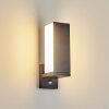 Swanek Outdoor Wall Light LED anthracite, 1-light source, Motion sensor