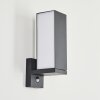 Swanek Outdoor Wall Light LED anthracite, 1-light source, Motion sensor